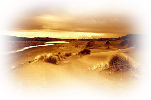 [Image: fhIJQqv.png]