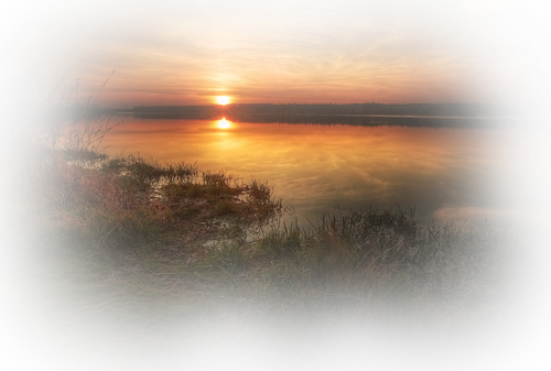 [Image: fhIJRRt.png]