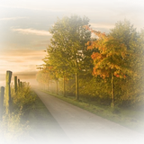 Png Doga Resimleri V100320181240 N105.png