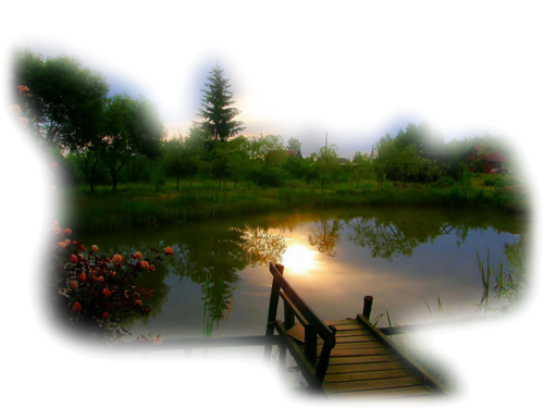 [Image: fhIJkqx.png]