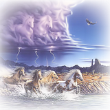 Png Doga Resimleri V100320181240 N111.png