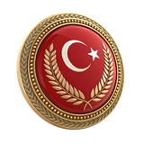 PNG Türkiye Bayrağı Resimleri V010120260536 N 45