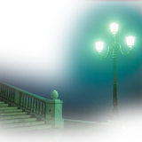 Png Doga Resimleri V100320181240 N125