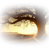 Png Doga Resimleri V100320181240 N143.png