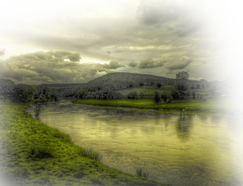 [Image: fhIdMCJ.png]