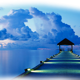 Png Doga Resimleri V100320181240 N132