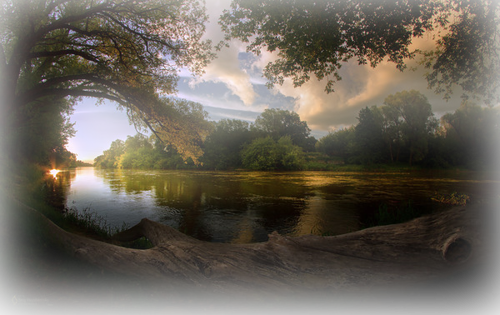 [Image: fhIdVEv.png]