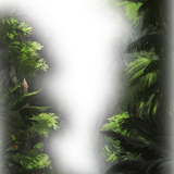 Png Doga Resimleri V100320181240 N145.png