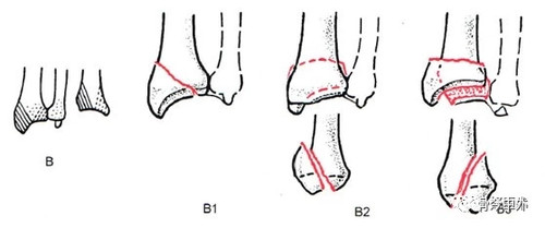 mmexport1767219871217.jpg