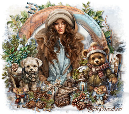 1 GorgeousArie1 vi.png