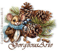 1 GorgeousArie vi.jpg