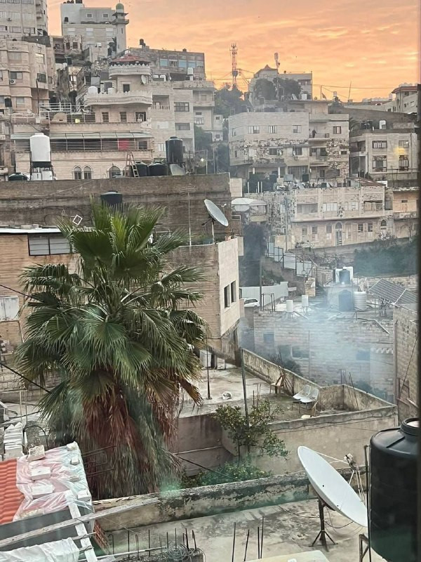 مصادر صحفية: قوات الاحتلال تقتحم منزلًا في محيط المستشفى الوطني بمدينة نابلس وتقوم بتفجيره، وتعتقل الشاب محمد حسيبا ووالده رامي حسيبا....