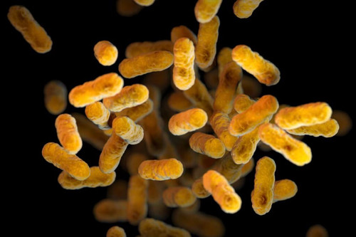 Nearly 28,000 whooping cough cases reported in the US this year.jpg