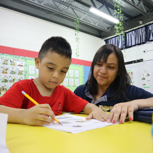 desarrollo cognitivo.jpg