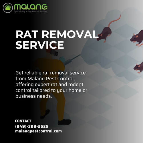 Professional Rat Removal Service in Orange County.jpg