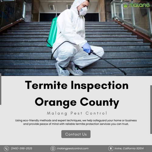 Termite Inspection Services in Orange County.jpg