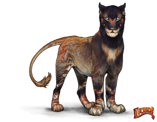 lioden wardrobe (20).png