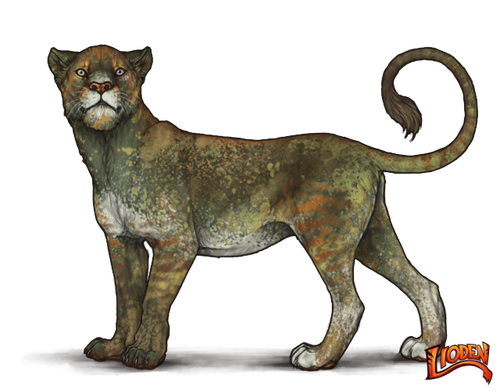 lioden wardrobe (27).png