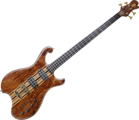 Png Gitar Resimleri V120220182257 N5.png