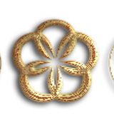 Png Brushes Toplu Fircalar Susler V060720192018 N33