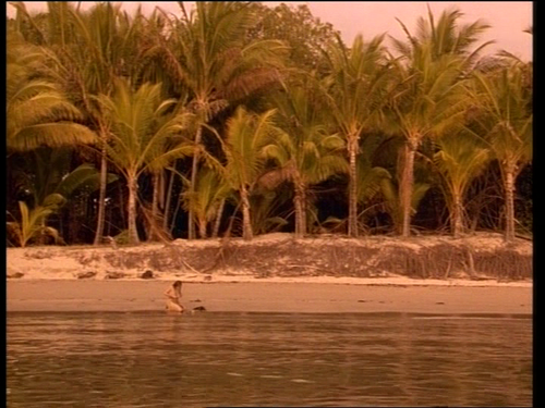 vlcsnap 2026 01 01 14h20m59s512.png