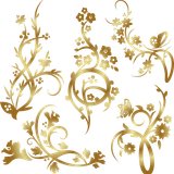 Png Brushes Toplu Fircalar Susler V060720192017 N2