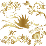 Png Brushes Toplu Fircalar Susler V060720192017 N22