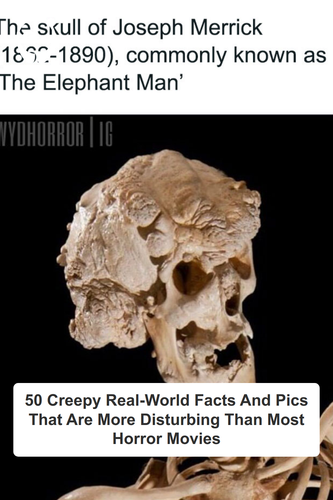 ig tt comments e3b6922c 9c18 4480 a4c2 f3cd1a0206ce.png