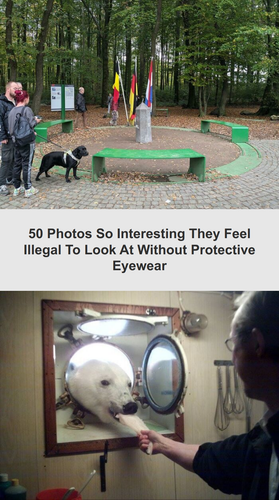 ig tt comments 45f2064a 1844 451e bc3d 5ae56566e7b7.png