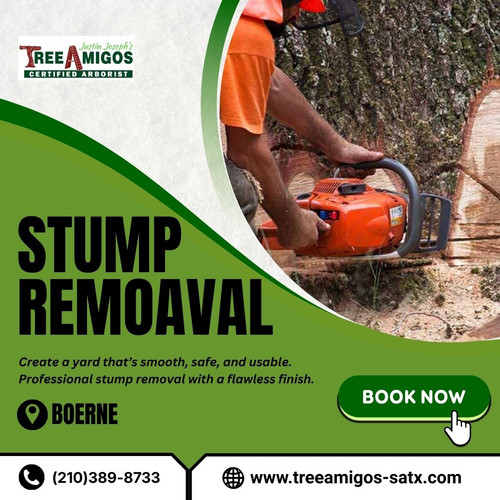 Stump Removal In Boerne.jpg