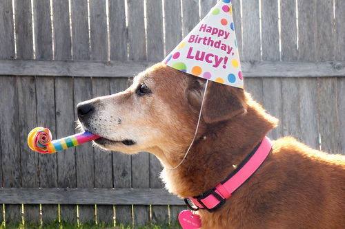 ChatGPT Image Dec 31, 2025, 04 35 51 PM.png