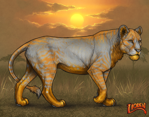 lioden wardrobe (35).png