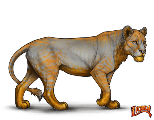 lioden wardrobe (36).png