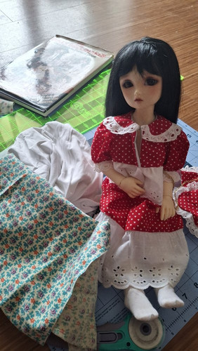 Jan 2026 Sewing Challenge Fabrics and Megu.jpg