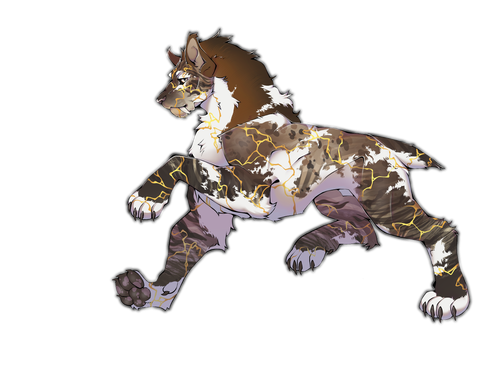 IMG 3911.png