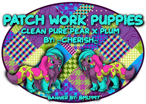 patch work puppies