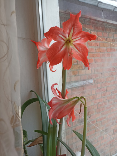 IMG 20260102 130523.jpg