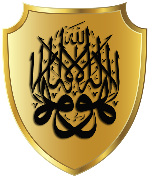 [Image: fhu70JV.png]