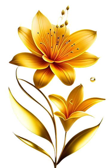 [Resim: fhuSBjt.png]