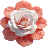 PNG Süslemeler V081120252344 N 3