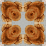 gif animasyonlu arkaplan resimi V150820190643 N3.gif