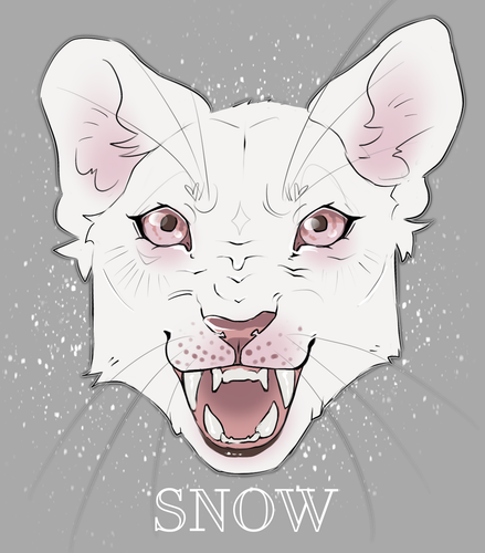 IMG 3916.png