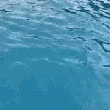 1000119638.gif