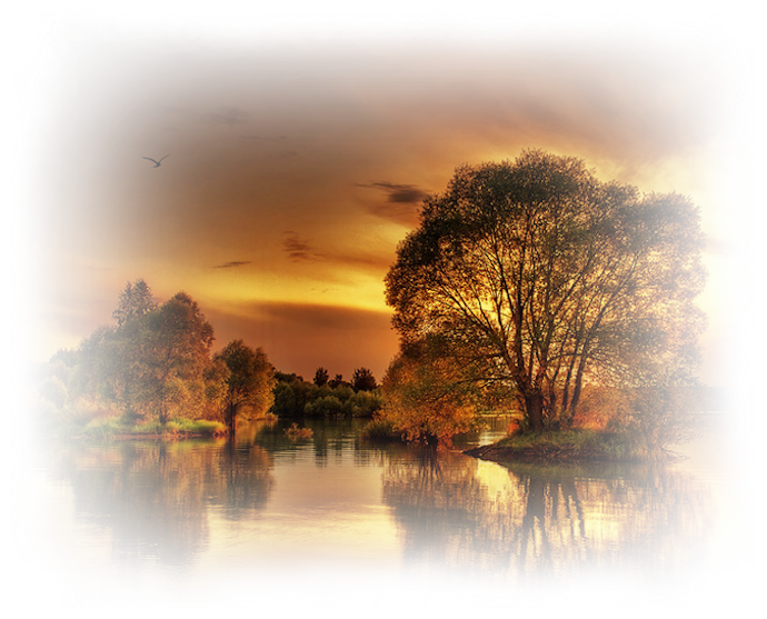 [Image: fhzp6PV.png]