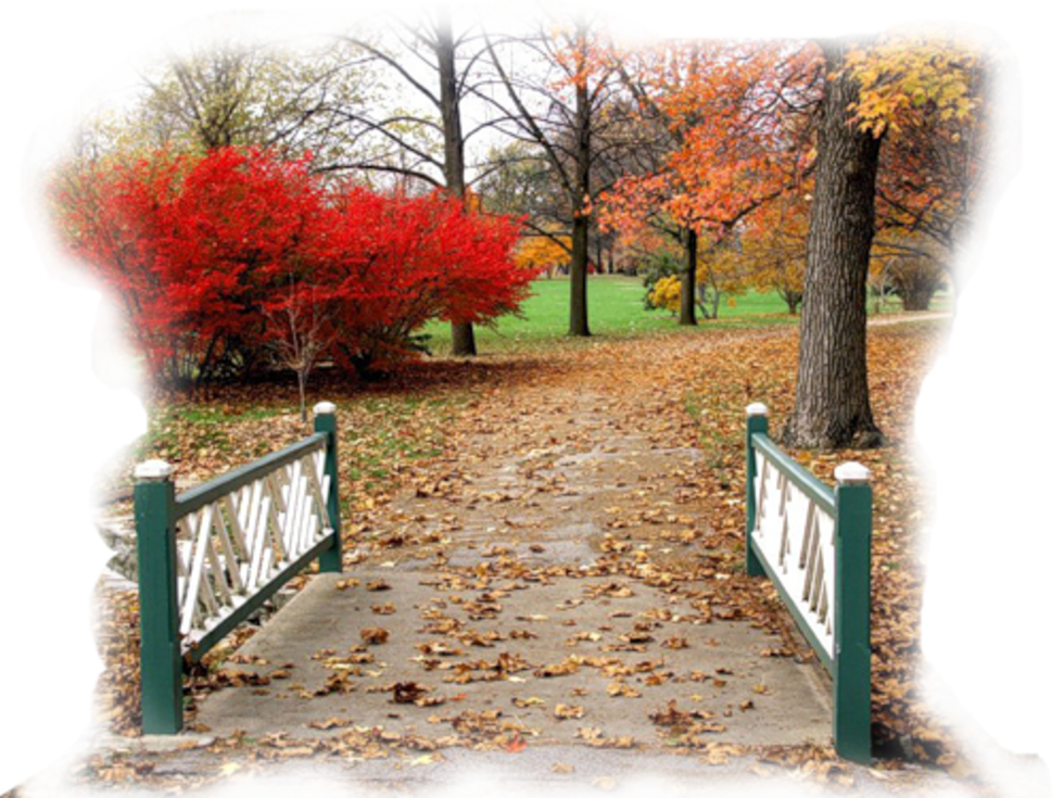 [Image: fhzp8Au.png]