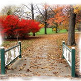 Png Doga Resimleri V100320181240 N3