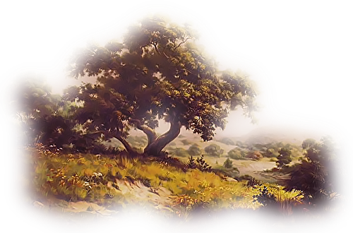 Png Doga Resimleri V100320181240 N7.png