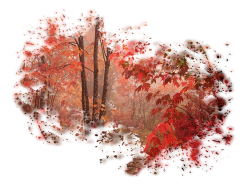 Png Doga Resimleri V100320181240 N4.png