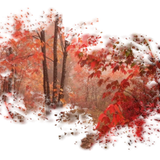 Png Doga Resimleri V100320181240 N4