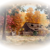 Png Doga Resimleri V100320181240 N5.png